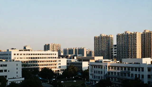 企业信息查询在贸易中的适用条件与选择依据